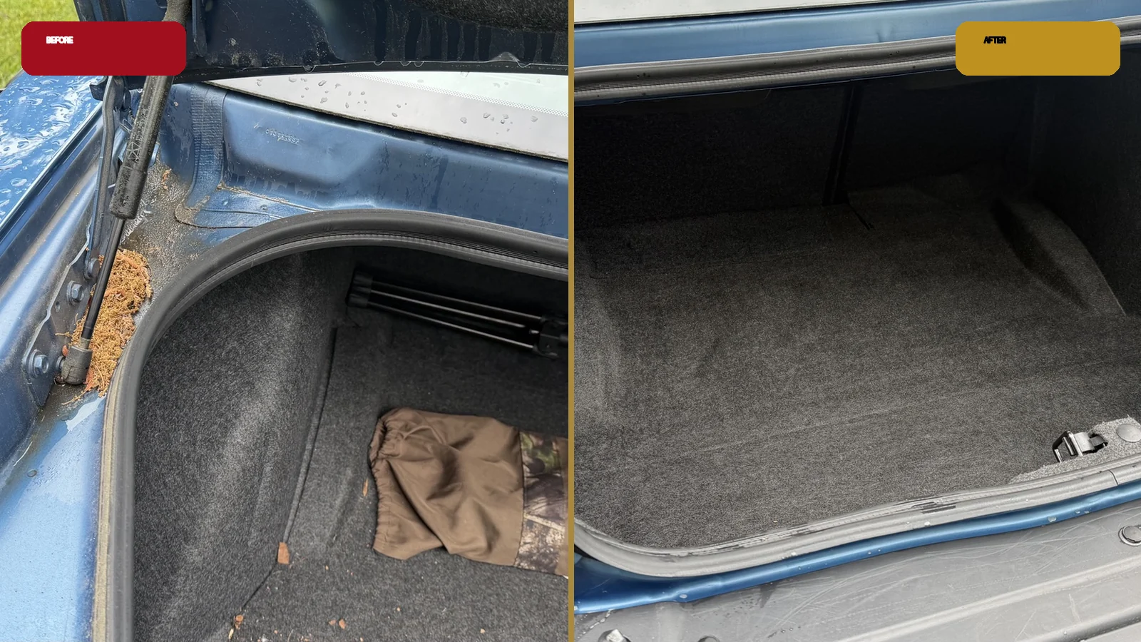 Trunk before and after interior detailing